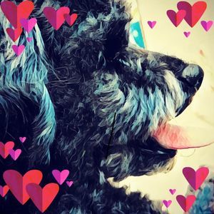 Meet your Posher, Kerry